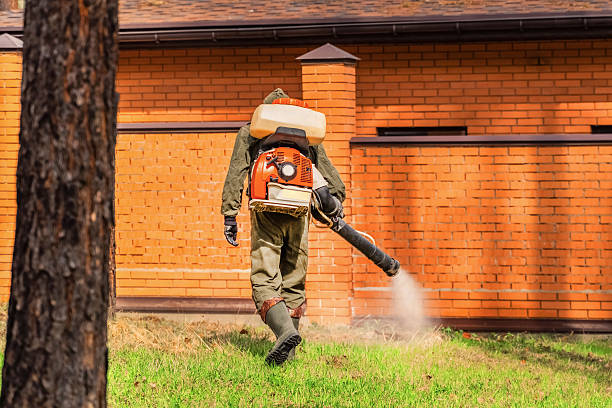 Trusted Termite Control service in Mountain Park, GA - Nex Pest Control